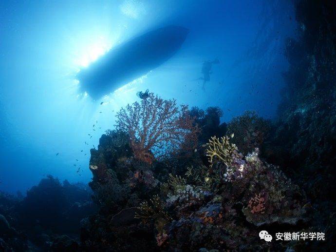 深海 ——《深海:探索寂靜的未知》/ 未讀·北京聯合出版公司 / 2016