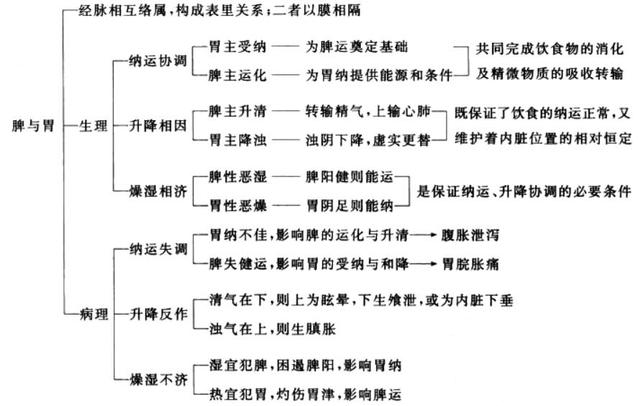 五脏六腑间有没有关系