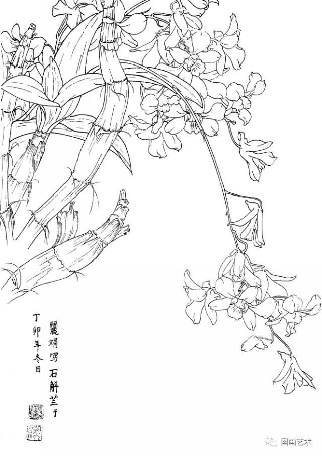 石斛花画法图片