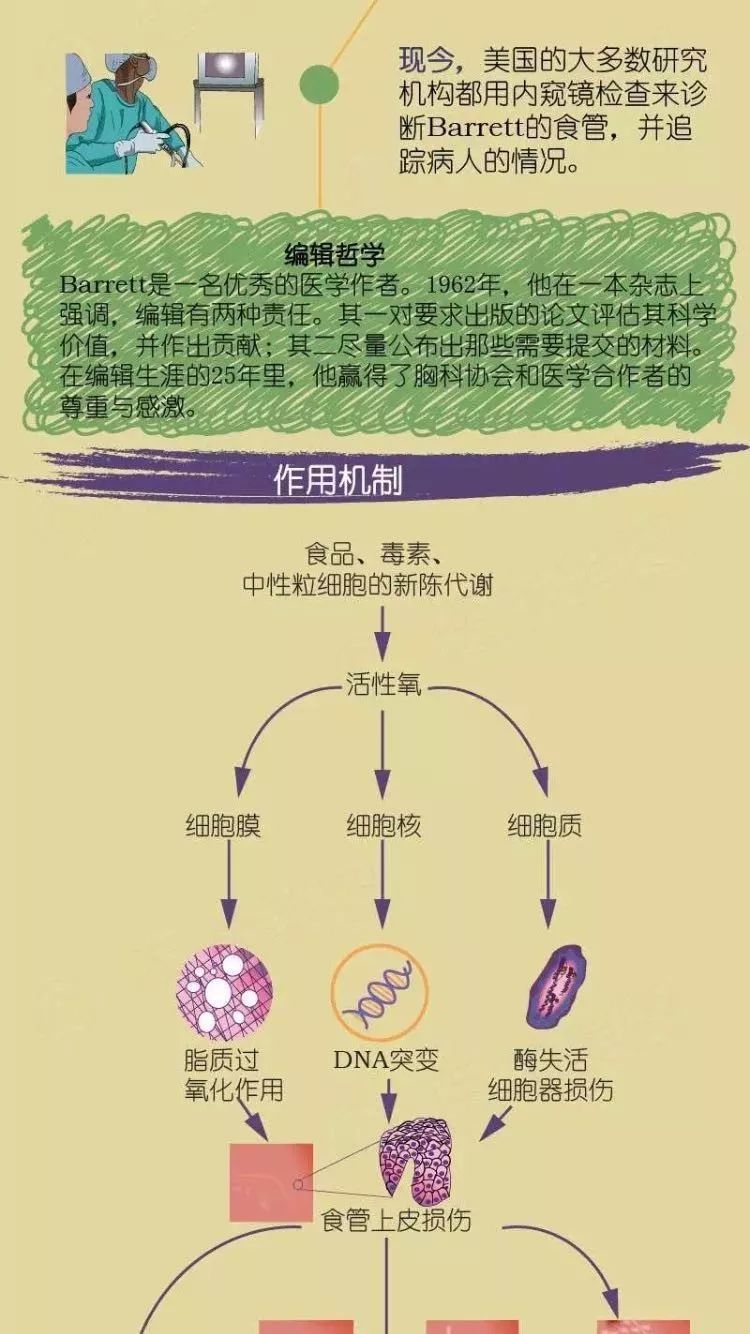 巴雷特食管饮食图片