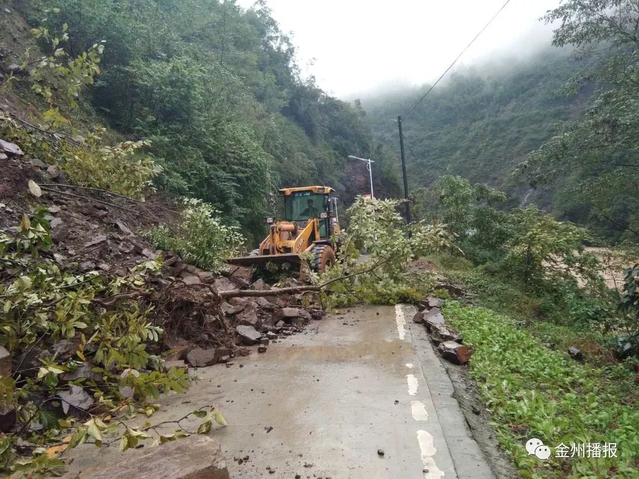 紫阳的界岭镇,累计的降雨量已经超过80毫米,最小的是在紫阳县的蒿坪镇