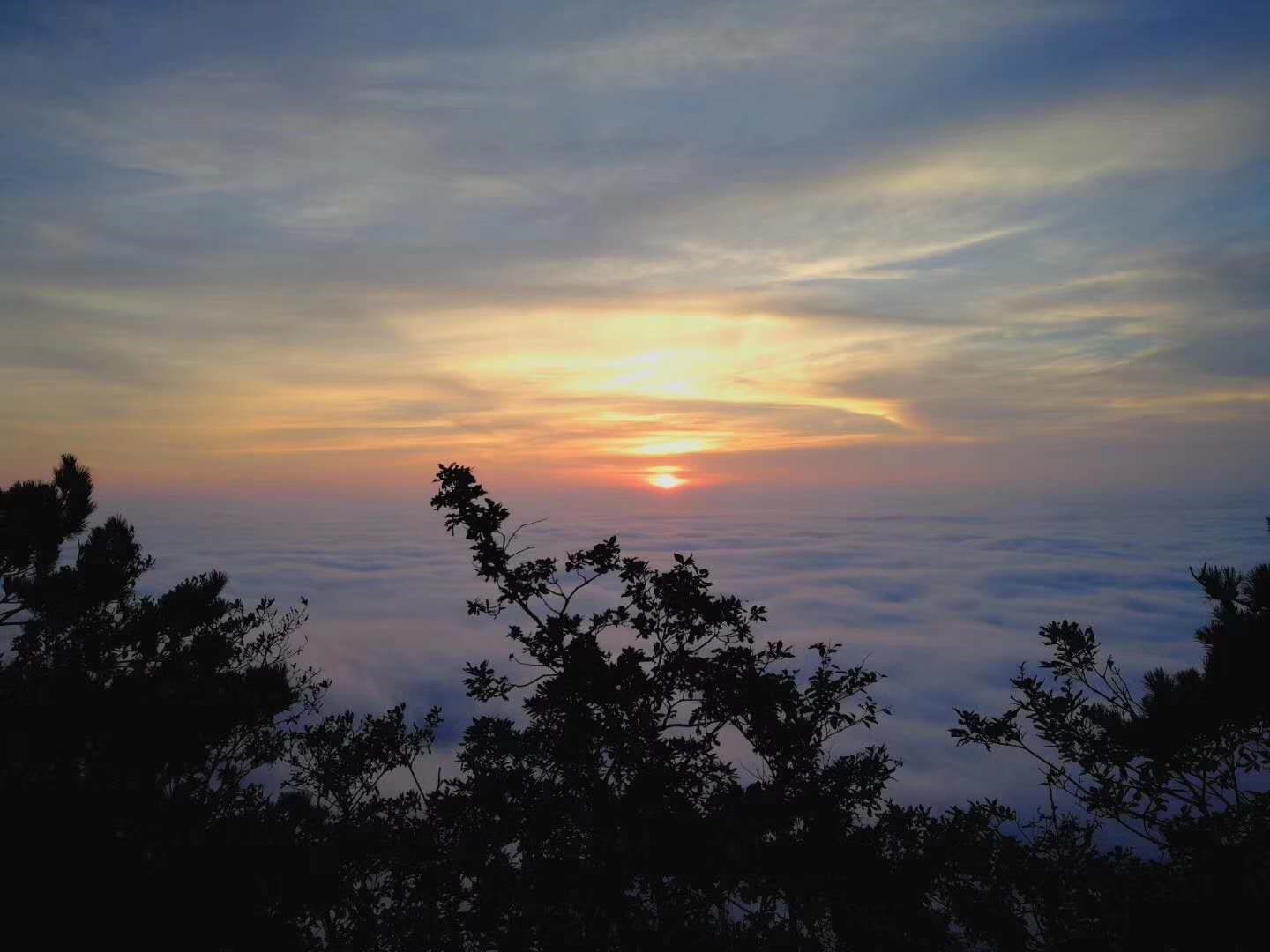 幕阜山云海图片