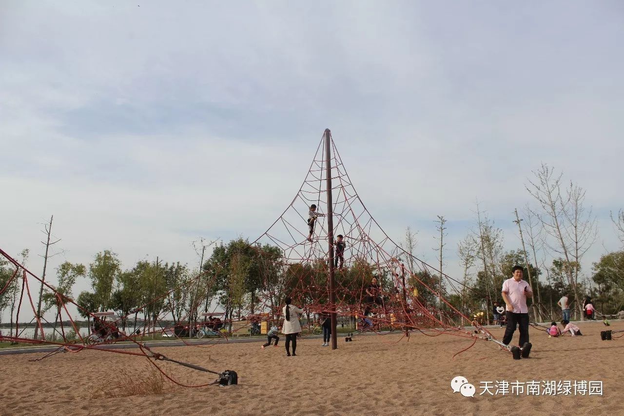 武清南湖绿博园景区游客爆棚,来看大家玩什么