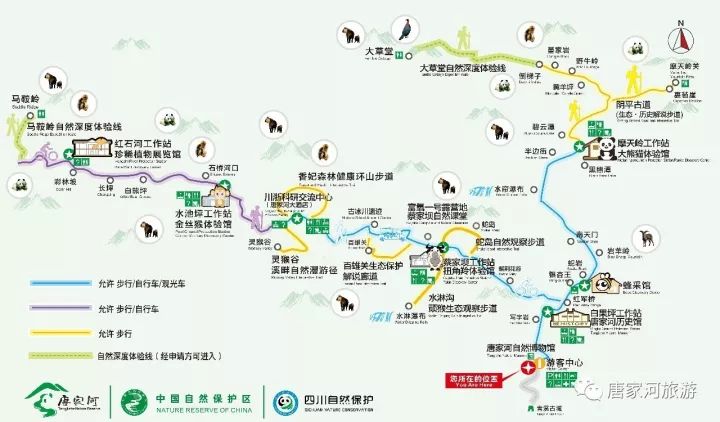 戴村游步道详细线路图图片