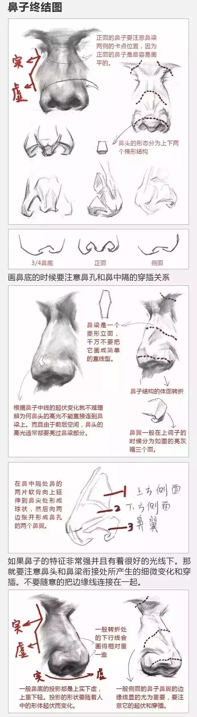 初学鼻子要加强对鼻部结构的理解 注意各部位之间的穿插,前后,虚实等