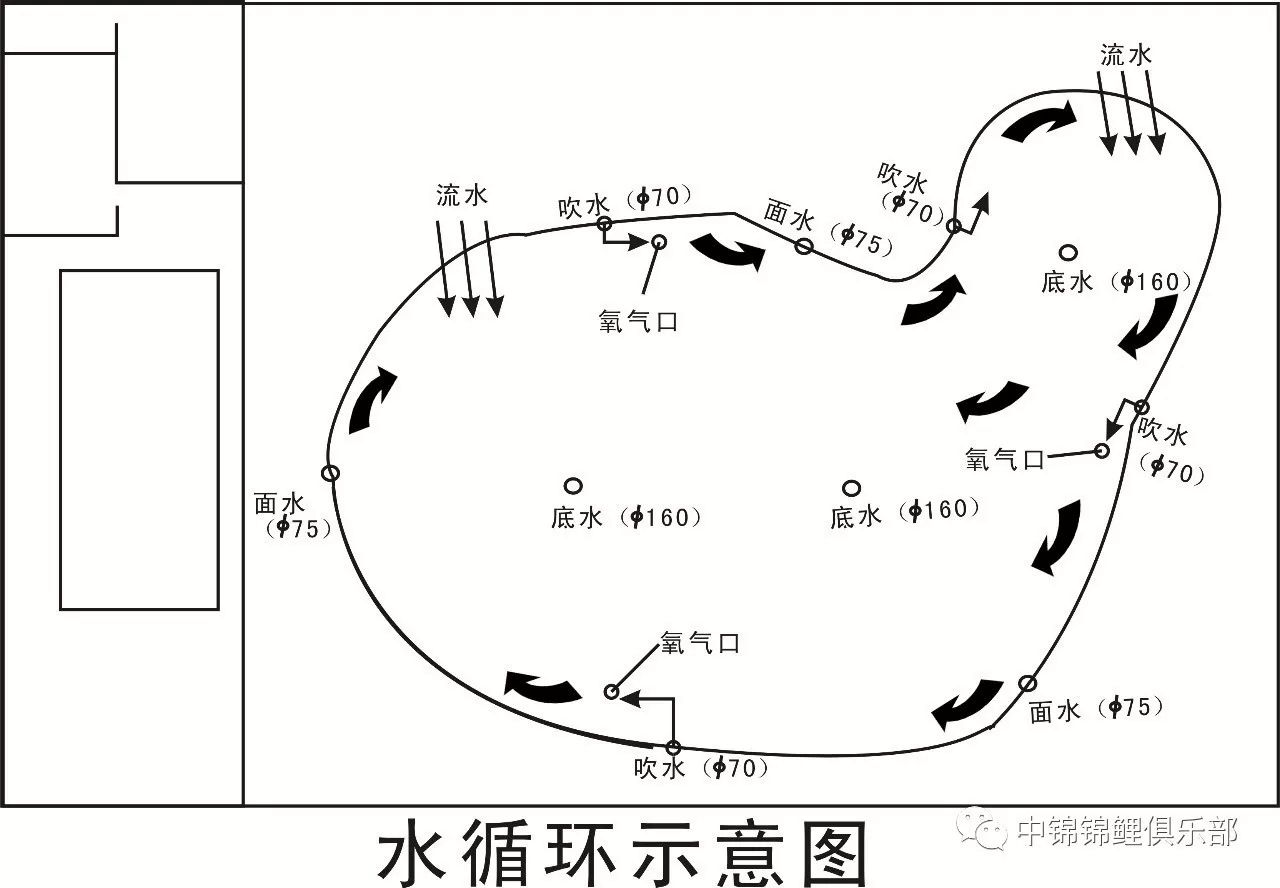 鱼塘平面图怎么画图片