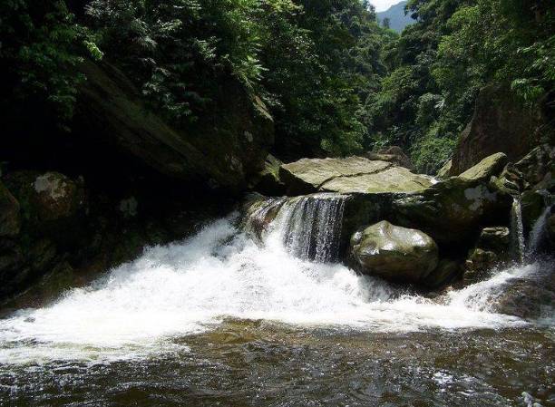 【泰安資訊】通知丨10月3日起,上林下水源旅遊區關閉,各遊客提前規劃