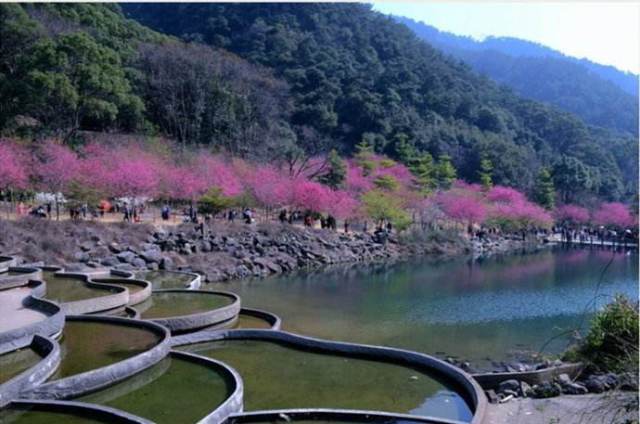 天生農莊▲永泰雲頂▲旗山景區▲貴安新天地景區▲連江溪山景區▲羅源