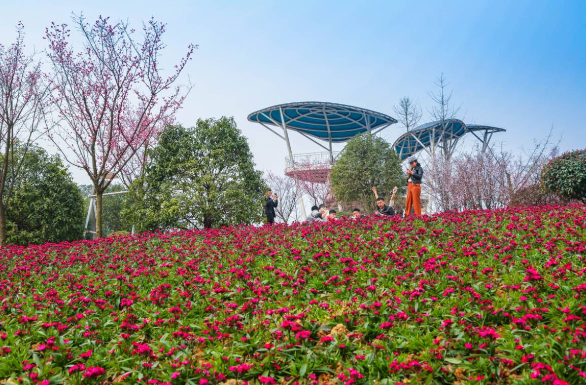 鐵山坪森林公園邀您聞香觀葉賞美景