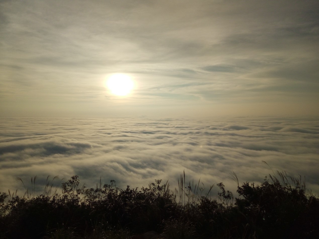 幕阜山云海图片