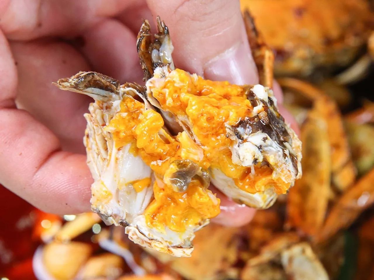77折吃六种口味的大闸蟹每一只都爆膏漏黄超肥美一定要空着肚子来