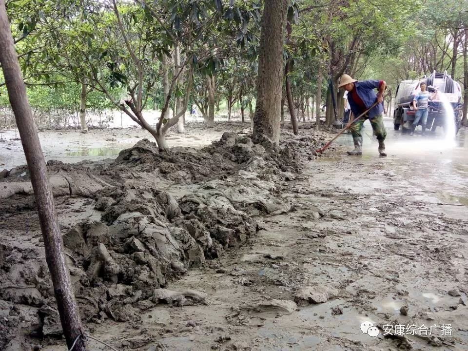 面对淤泥遍地面目全非,他们这样做