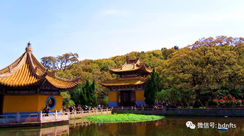 抵達朱家尖碼頭地接導遊接團後乘船赴——【海天佛國普陀山】,步行