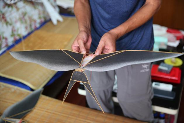 滑翔机风筝制作图纸图片