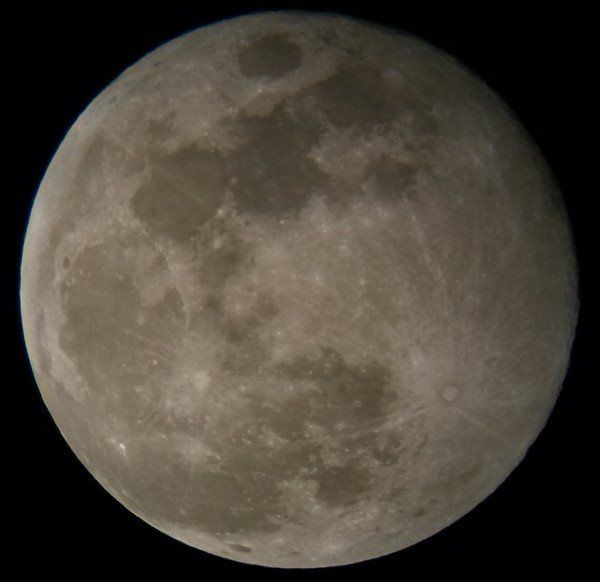 圆圆的月亮的脸图片