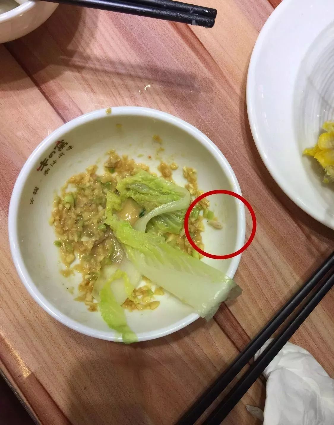 桂林這家餐廳食材裡驚現活蛆,還在蠕動!看完還敢去麼?