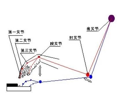 错误的手型示例-错误一拇指不要让它在键盘之