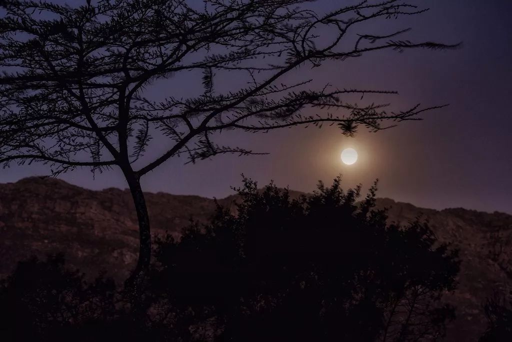 中秋节 一年逢好夜,月满人团圆