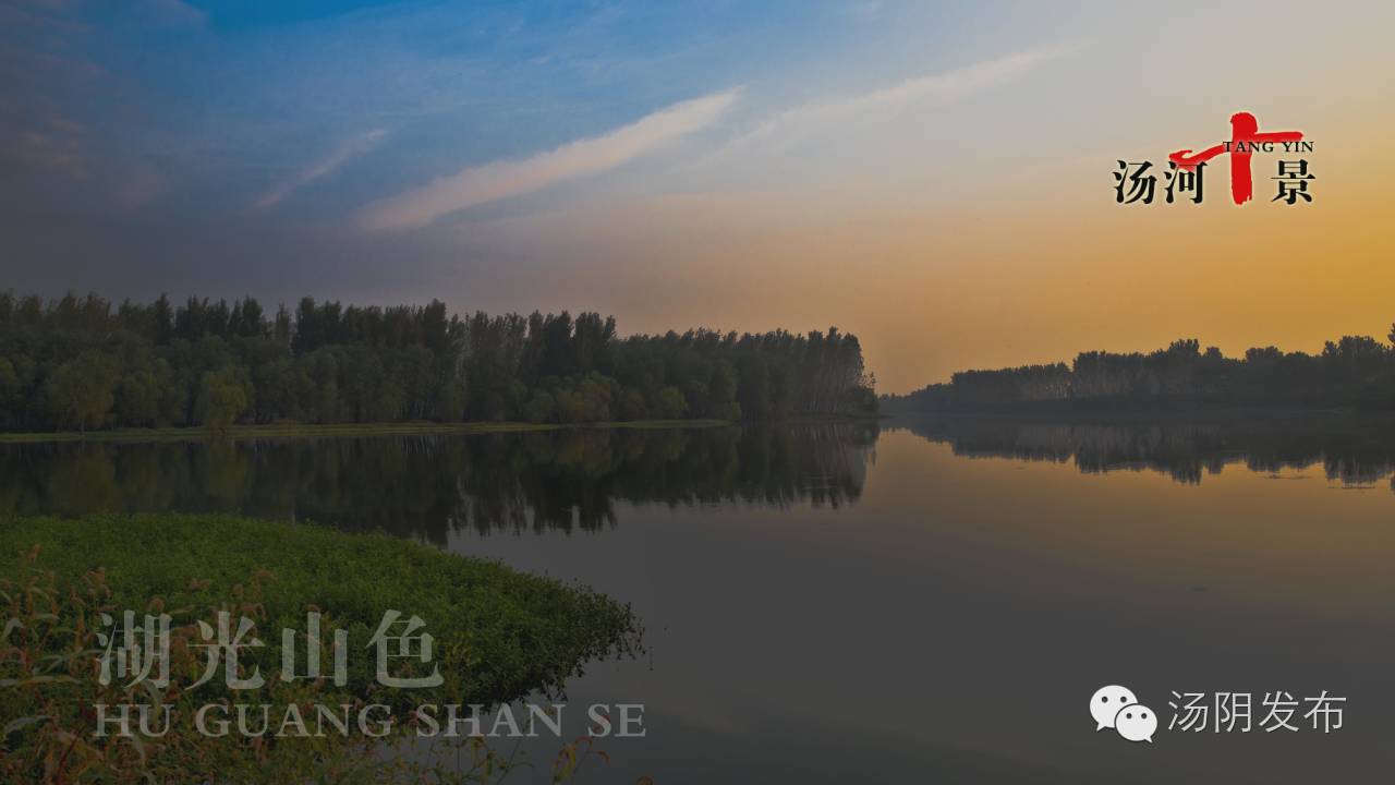 大美湯陰觀鳥採摘湯河國家溼地公園等你來