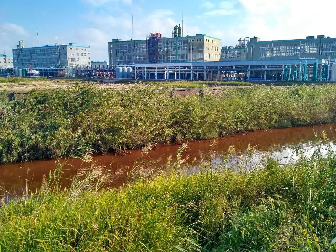 10月2日,志愿者来到江苏省盐城市滨海经济开发区沿海工业园内,进入