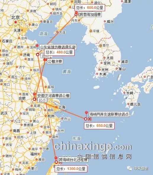 兩岸攜手 臺北放飛:籌備1300公里跨海峽大賽