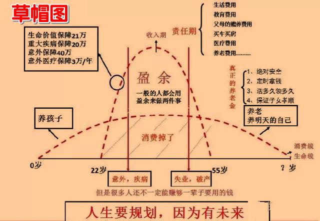 太平洋草帽图的讲解图片