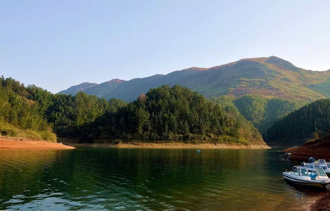 当你在深圳摩天大楼里写ppt时 金桂湖的鲤鱼正跃出水面 当你在北京的