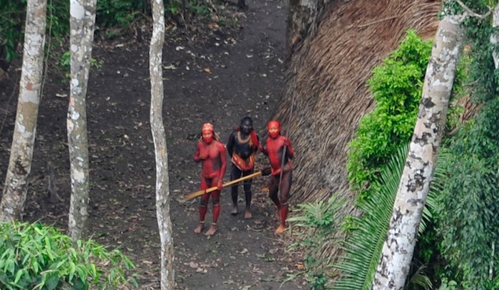 巴布亚群岛原始部落图片