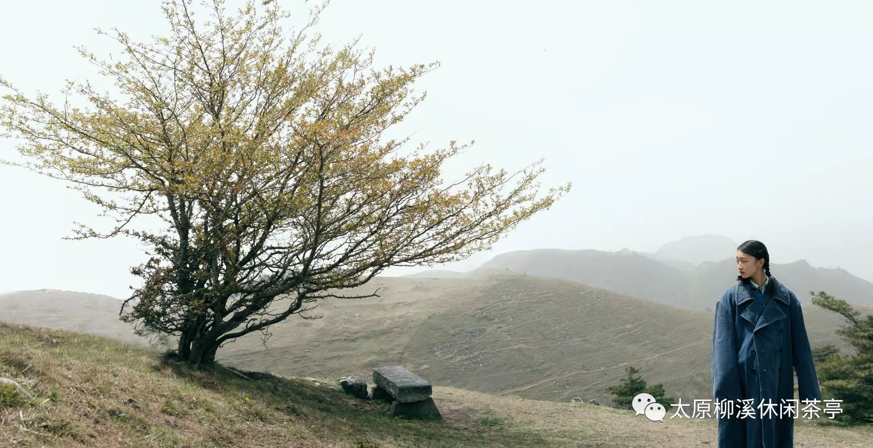 請您欣賞蘇聯歌曲《山楂樹》及背景故事