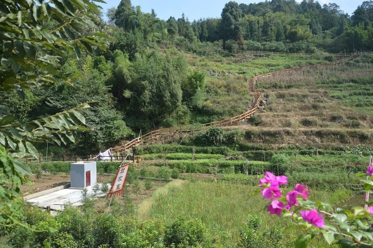 茅埡鎮中坪村為貧困村,位於寬闊水原始森林國家自然保護區腳下.