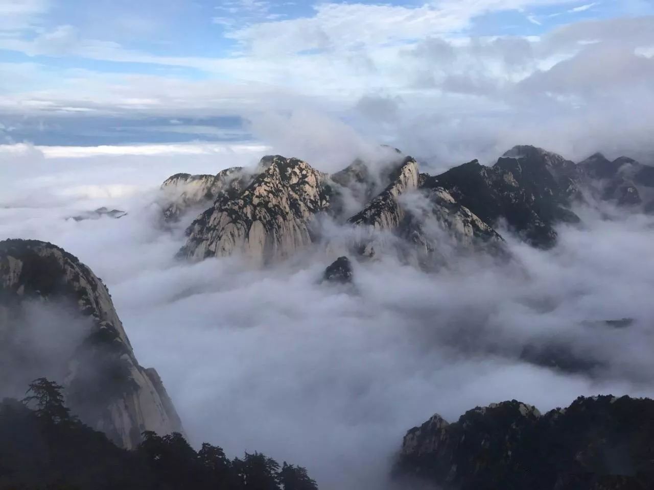 今日實景雨後華山雲海美景來襲