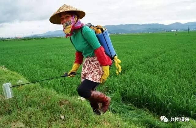 草銨膦搞清楚再推廣!