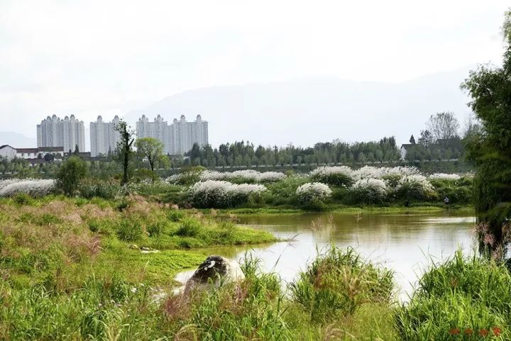 漢中溼地公園有多美只看圖不說話