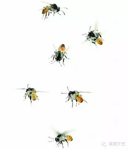 小蜜蜂画法国画图片