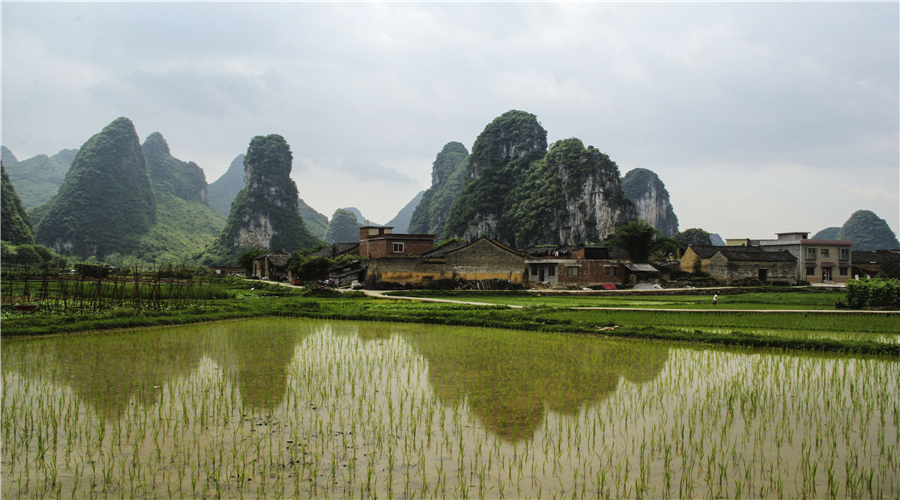 桂林奇峰岭图片