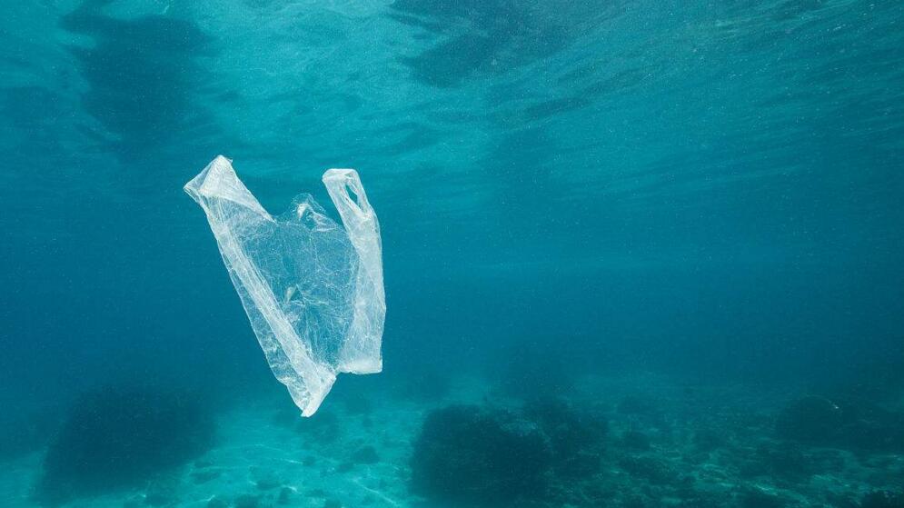 海洋中的垃圾塑料是如何进入如此深的海底!