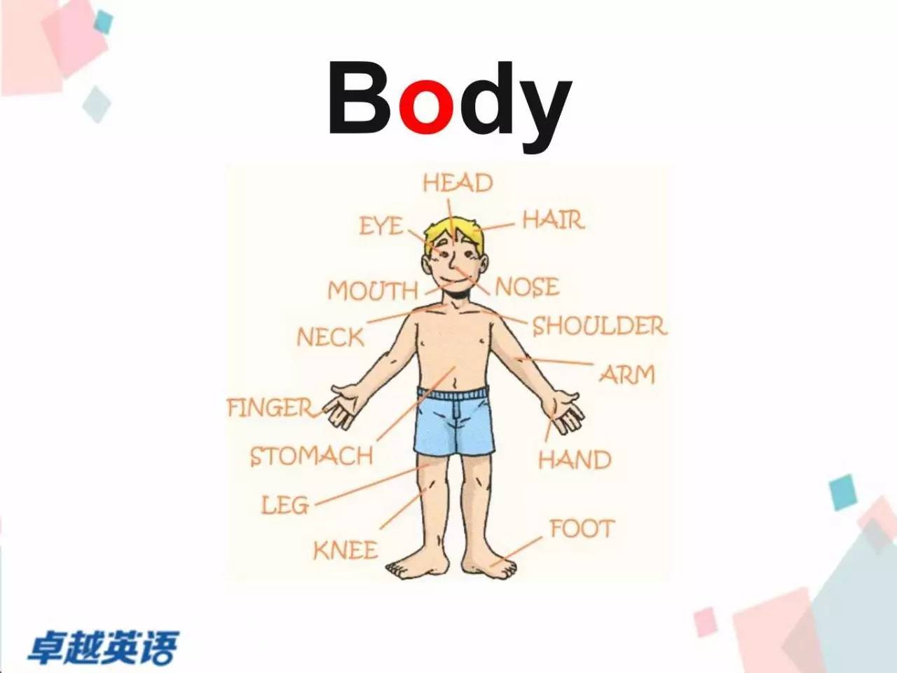 身体的位置英文图片