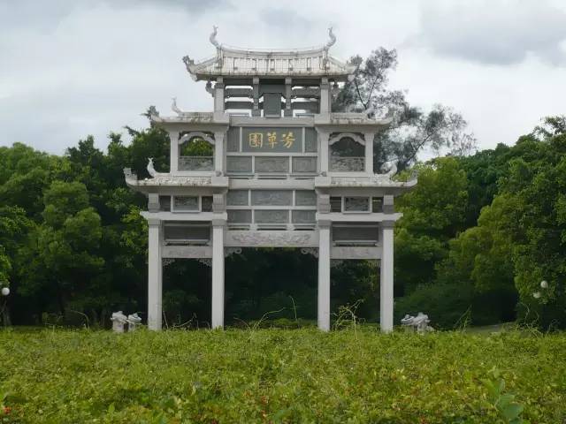 江南公园 田安公园 泉州绿荫多 东海大街 老城区 芳草园