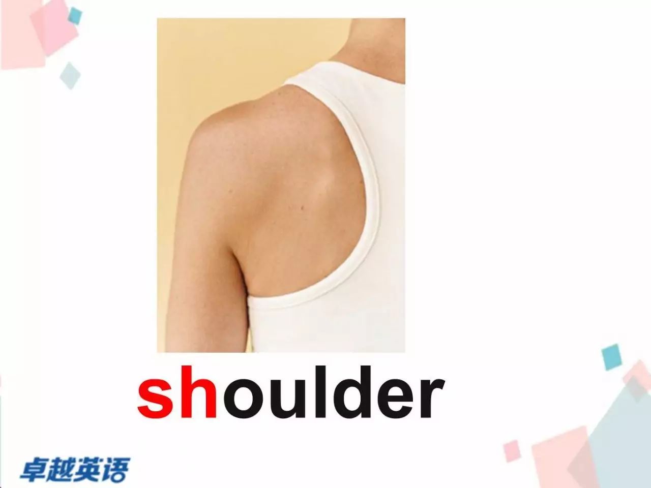 shoulder英语卡片图片