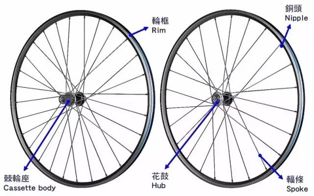 自行车车轮结构图解图片