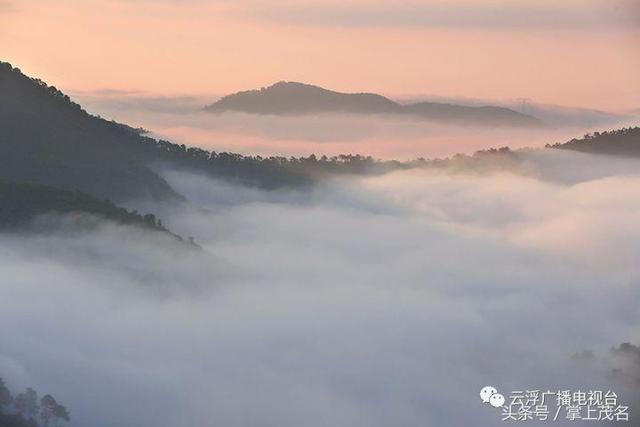 雲浮醉美天馬山:雲霧繚繞 仙氣十足