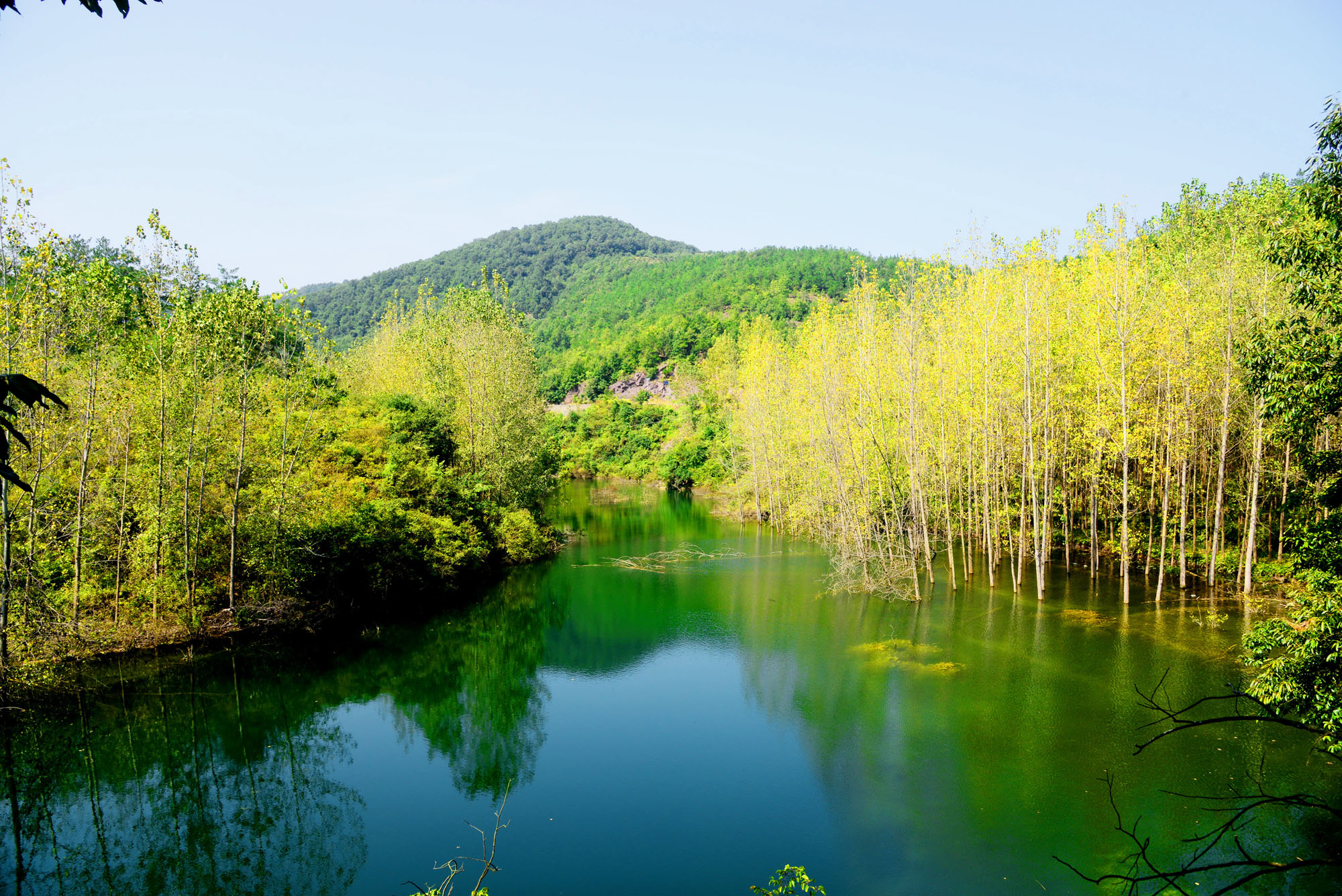 京山绿林山图片