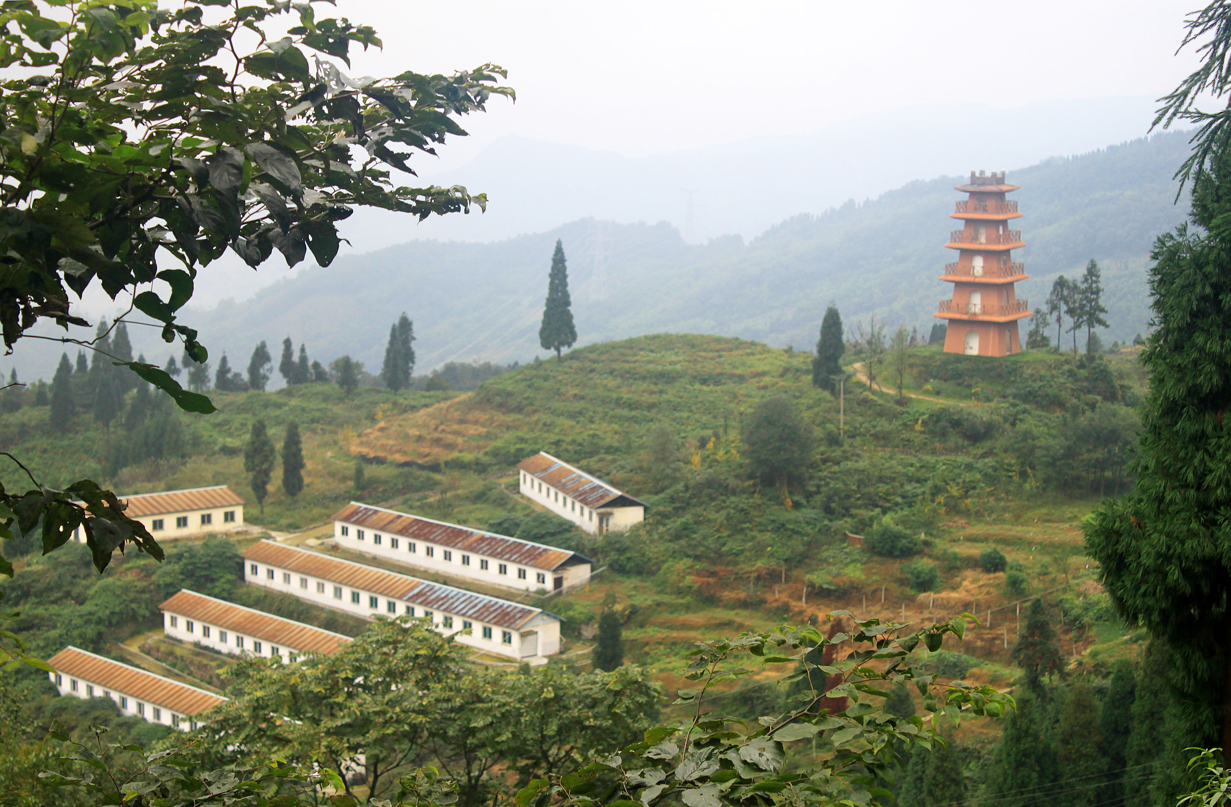 直台的羌人.直台村的羌族民居.在直台羌寨旅游的女子.