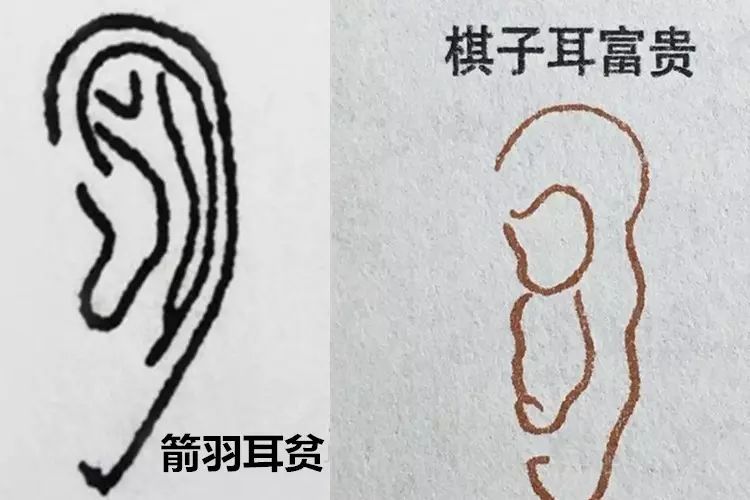 古相書裡的原文描述:先盈後窮上節高眉寸有餘,下生箭羽沒垂珠.