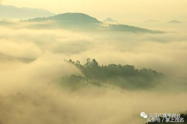 雲浮醉美天馬山雲霧繚繞仙氣十足