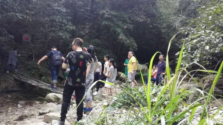 德興旅遊傳奇故事金牌主持人金飛探秘昄大龍騰