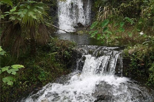 寧波後花園九龍湖遊船猴島賞飛瀑走竹海鄭氏十七房休閒一日遊10月8日