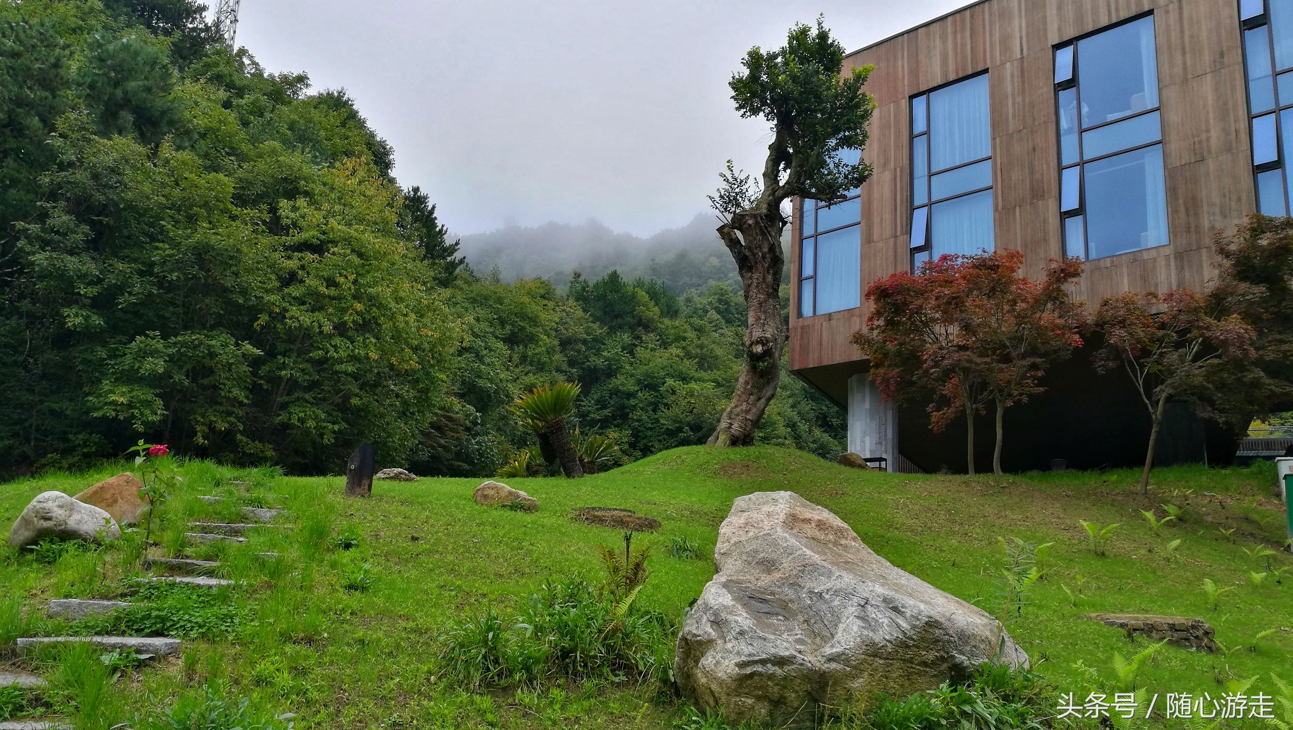 西安美景,人少,少,少|吐血推荐,宁陕秦岭悠然山高山湿地!