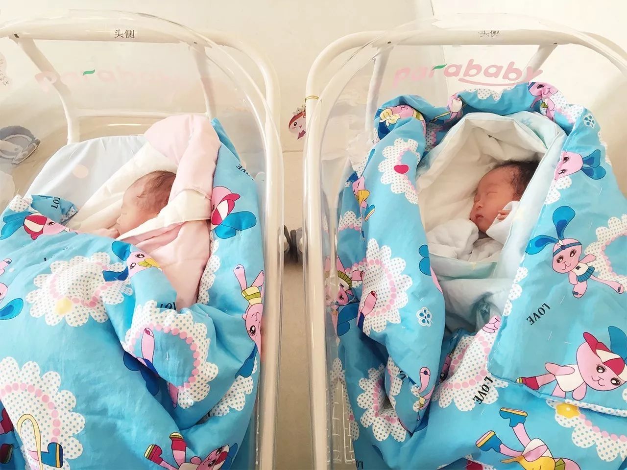 新生儿双胞胎图片真实图片