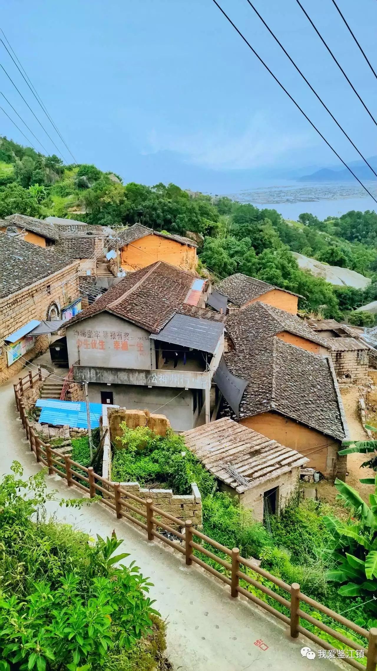 鉴江镇东湾村图片